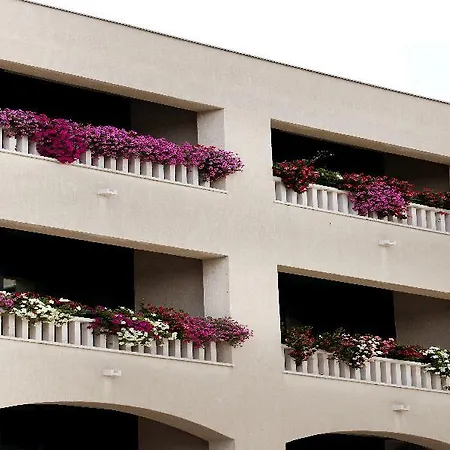 فندق Bellevue
